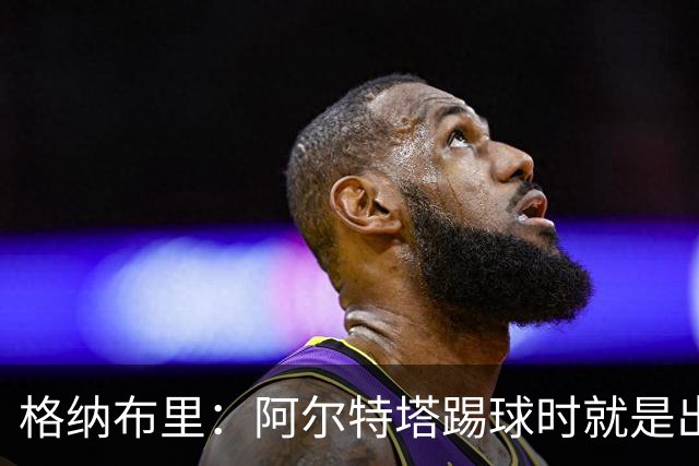 格纳布里：阿尔特塔踢球时就是出色领袖；祝福凯恩能拿金球奖